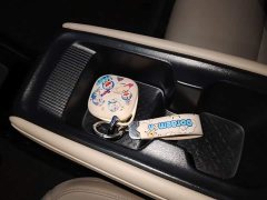 Wuling Binguo PLUS 2024 510km 5-Seater - ფოტო 9