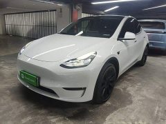 Tesla Model Y Long Range All-Wheel Drive - ფოტო 1