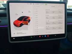 Tesla Model Y 2023 Rear-Wheel Drive - ფოტო 12