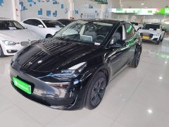 Tesla Model Y 2023 Rear-Wheel Drive - ფოტო 2
