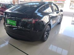 Tesla Model Y 2023 Rear-Wheel Drive - ფოტო 8