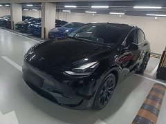 Tesla Model Y Rear-Wheel Drive - ფოტო 1