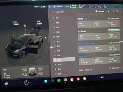 Tesla Model Y Rear-Wheel Drive - ფოტო 12