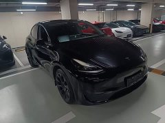 Tesla Model Y Rear-Wheel Drive - ფოტო 4