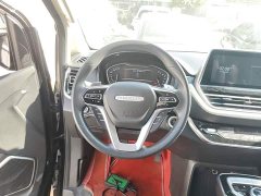 MAXUS G20 2021 Facelift PLUS 2.0T Petrol Automatic Luxury - ფოტო 11