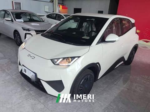 2026 BYD Seagull Smart Drive 305km Vitality Edition