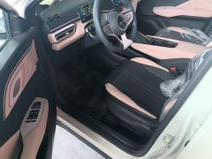BYD Seagull 2025 Smart Drive 305km Vitality Edition - ფოტო 16