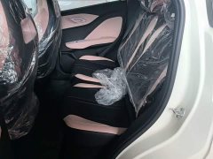 BYD Seagull 2025 Smart Drive 305km Vitality Edition - ფოტო 17