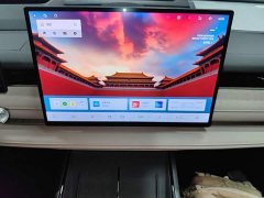 Geely Galaxy Xingyao 8 130km EM-P Starship Edition - ფოტო 13