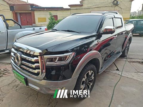 2022 Geely Cannon 2021 2.0T Passenger Global Edition Automatic Gasoline 4WD Premium Standard Box GW4C20B - ავტომობილი ჩინეთი…