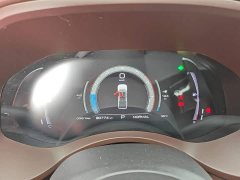 Geely Cannon 2021 2.0T Passenger Global Edition Automatic Gasoline 4WD Premium Standard Box GW4C20B - ფოტო 12