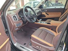 Geely Cannon 2021 2.0T Passenger Global Edition Automatic Gasoline 4WD Premium Standard Box GW4C20B - ფოტო 15