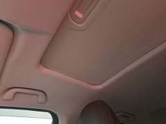 Geely Cannon 2021 2.0T Passenger Global Edition Automatic Gasoline 4WD Premium Standard Box GW4C20B - ფოტო 18