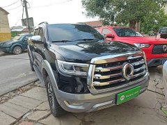 Geely Cannon 2021 2.0T Passenger Global Edition Automatic Gasoline 4WD Premium Standard Box GW4C20B - ფოტო 4