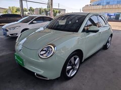 ORA Good Cat 401km Standard Range Deluxe LFP - ფოტო 1