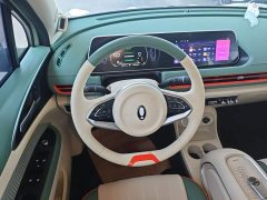 ORA Good Cat 401km Standard Range Deluxe LFP - ფოტო 11
