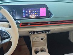 ORA Good Cat 401km Standard Range Deluxe LFP - ფოტო 13