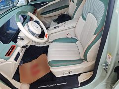 ORA Good Cat 401km Standard Range Deluxe LFP - ფოტო 15