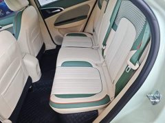 ORA Good Cat 401km Standard Range Deluxe LFP - ფოტო 17