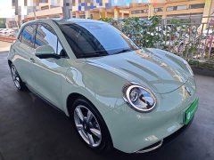 ORA Good Cat 401km Standard Range Deluxe LFP - ფოტო 4