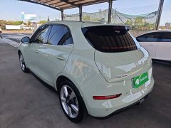 ORA Good Cat 401km Standard Range Deluxe LFP - ფოტო 5