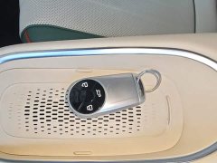 ORA Good Cat 401km Standard Range Deluxe LFP - ფოტო 9