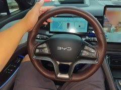 BYD Frigate 07 Glory Edition DM-i 205KM Flagship - ფოტო 11