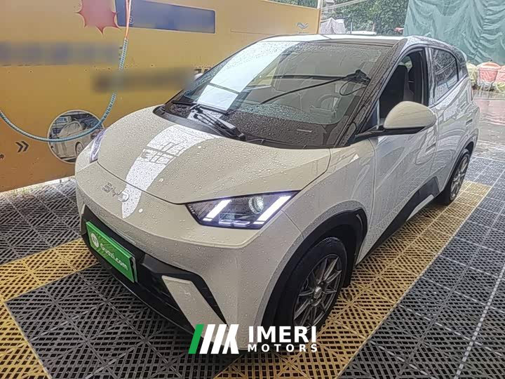 BYD Seagull Glory Edition 305km Vitality Version