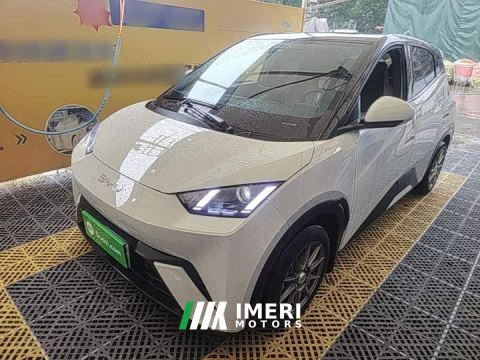 2024 BYD Seagull Glory Edition 305km Vitality Version