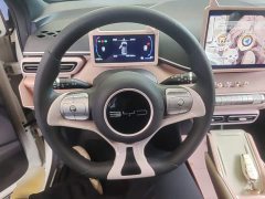 BYD Seagull Glory Edition 305km Vitality Version - ფოტო 11