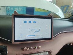 BYD Seagull Glory Edition 305km Vitality Version - ფოტო 13