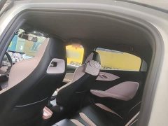 BYD Seagull Glory Edition 305km Vitality Version - ფოტო 18