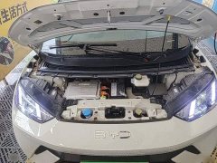BYD Seagull Glory Edition 305km Vitality Version - ფოტო 20