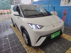 BYD Seagull Glory Edition 305km Vitality Version - ფოტო 4