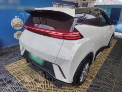 BYD Seagull Glory Edition 305km Vitality Version - ფოტო 7