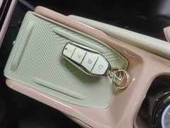 BYD Seagull Glory Edition 305km Vitality Version - ფოტო 9