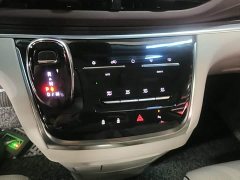 Buick GL8 Land Executive Cabin 652T Luxury - ფოტო 14