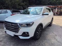 Haval H6 2021 National Trend Edition 1.5T Automatic Urban Version - ფოტო 2