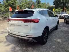 Haval H6 2021 National Trend Edition 1.5T Automatic Urban Version - ფოტო 7