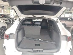 BYD Song Plus New Energy 2021 EV Premium - ფოტო 19