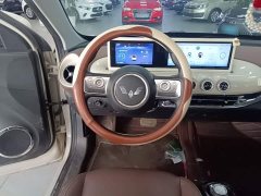 Wuling Binguo 2023 333km Joy Edition - ფოტო 11