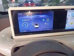 Wuling Binguo 2023 333km Joy Edition - ფოტო 12
