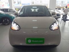 Wuling Binguo 2023 333km Joy Edition - ფოტო 3