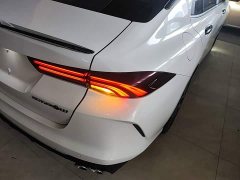Trumpchi Leopard 270T DCT J16 - ფოტო 8