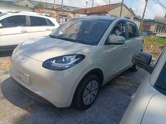 Wuling Binguo 203km Light Enjoy Edition - ფოტო 1