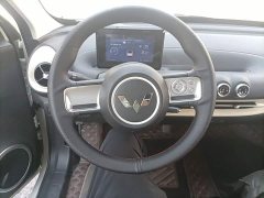 Wuling Binguo 203km Light Enjoy Edition - ფოტო 11