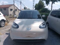 Wuling Binguo 203km Light Enjoy Edition - ფოტო 3
