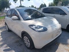 Wuling Binguo 203km Light Enjoy Edition - ფოტო 4