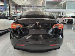 Tesla Model Y 2022 Facelift Rear-Wheel Drive - ფოტო 6
