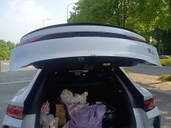 BYD Song L EV 662km Transcendence Edition - ფოტო 19